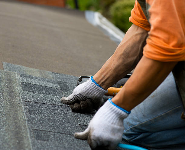 Best Roof Gutter Cleaning  in Black Canyon City, AZ
